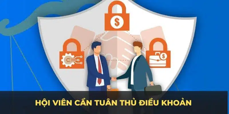 điều khoản sử dụng cần tuân thủ